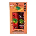 Imagem kit shampoo e condicionador jaborandi Tok Bothanico 400ML