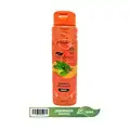 Imagem shampoo jaborandi Tok Bothanico 400ML
